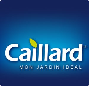 Caillard
