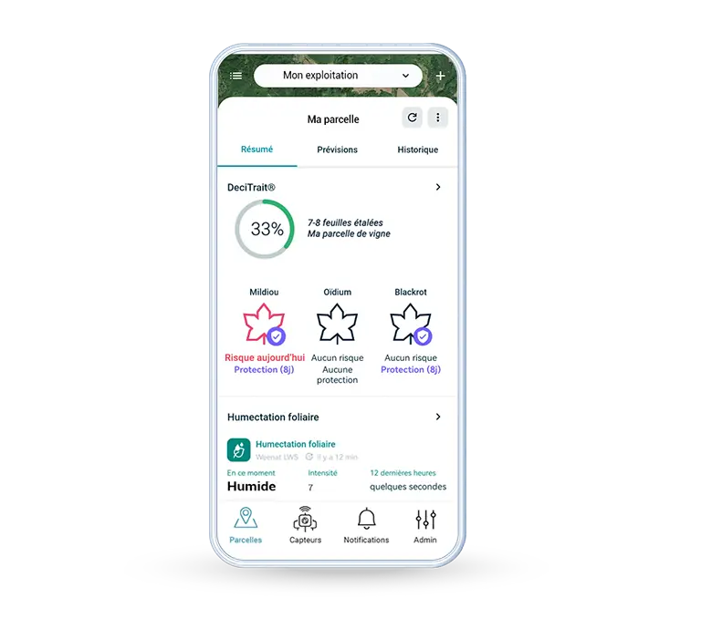 decitrait apercu parcelle app weenat