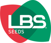 LBS LBS SEEDS